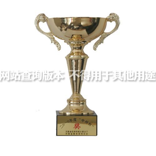 2010年中州杯奖杯