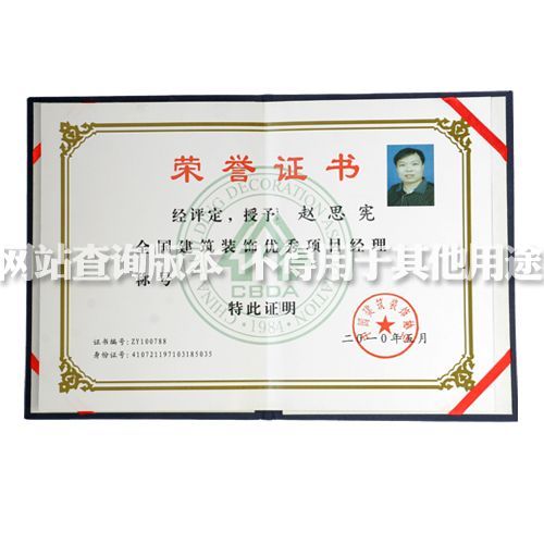 2010年全国项目经理