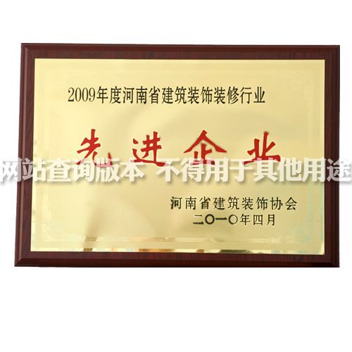2009省先进企业